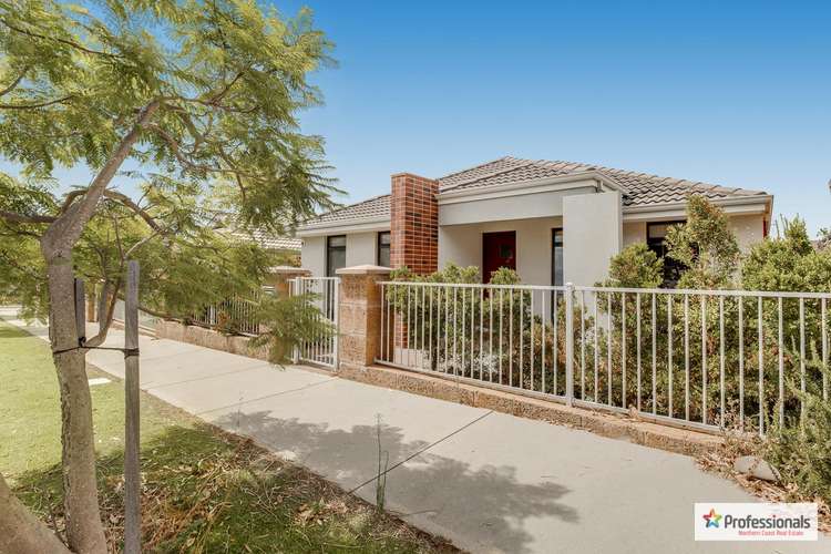 Main view of Homely house listing, 31 Willard Circuit, Banksia Grove WA 6031