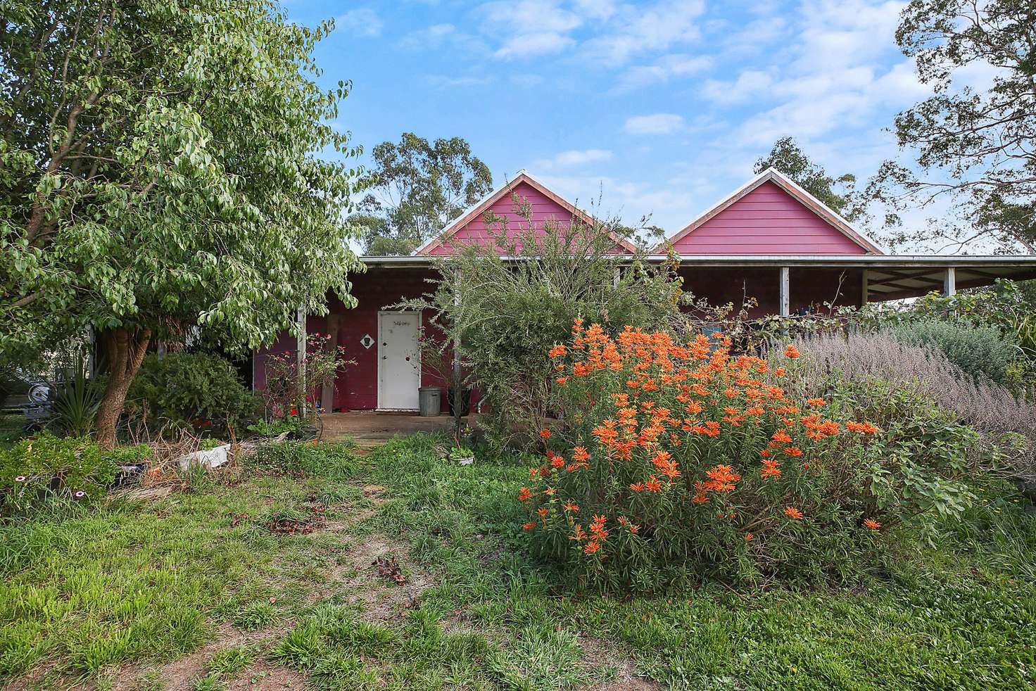 Main view of Homely lifestyle listing, 125 Retallacks Road, Elingamite North VIC 3266