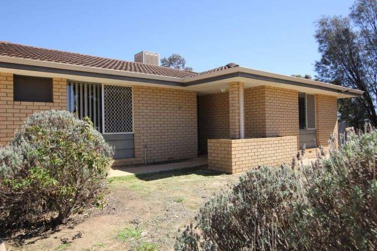 13 Dolton Way, Merredin WA 6415