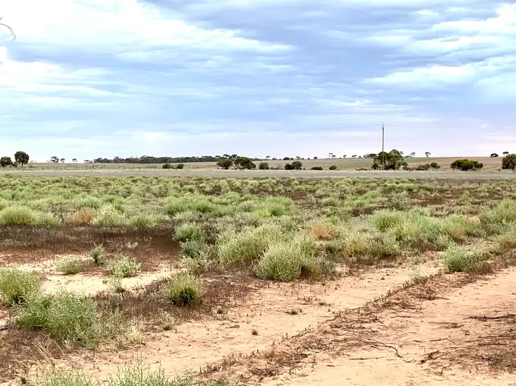 Fourth view of Homely rural property listing, 1 Yates Road, Minnipa SA 5654