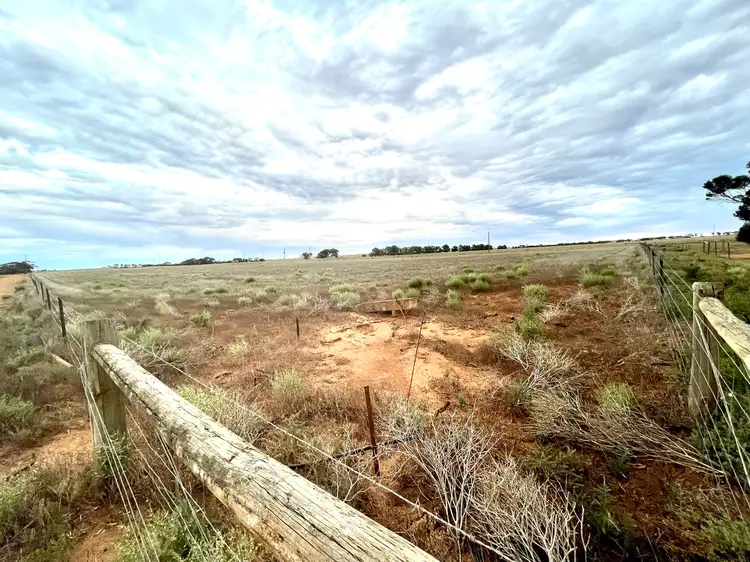 Fifth view of Homely rural property listing, 1 Yates Road, Minnipa SA 5654