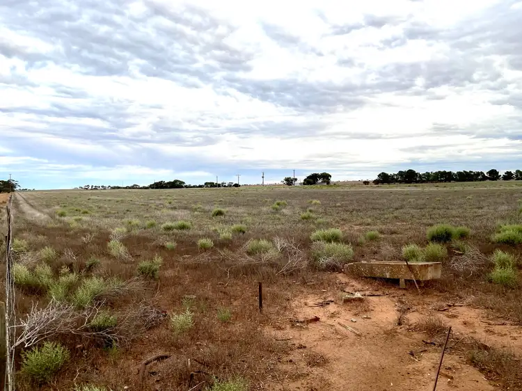 Seventh view of Homely rural property listing, 1 Yates Road, Minnipa SA 5654