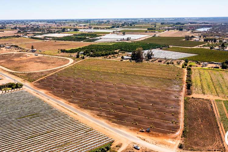 Main view of Homely acreageSemiRural listing, 357 Stewart Road, Red Cliffs VIC 3496