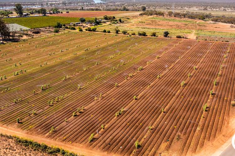 Second view of Homely acreageSemiRural listing, 357 Stewart Road, Red Cliffs VIC 3496