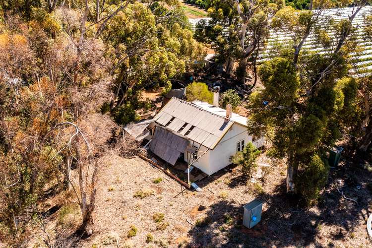 Sixth view of Homely acreageSemiRural listing, 357 Stewart Road, Red Cliffs VIC 3496