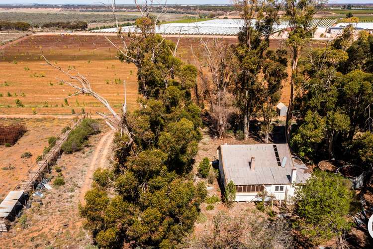 Seventh view of Homely acreageSemiRural listing, 357 Stewart Road, Red Cliffs VIC 3496