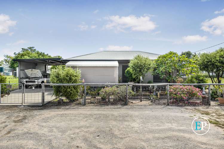 Second view of Homely house listing, 61 Pavia Drive, Nome QLD 4816