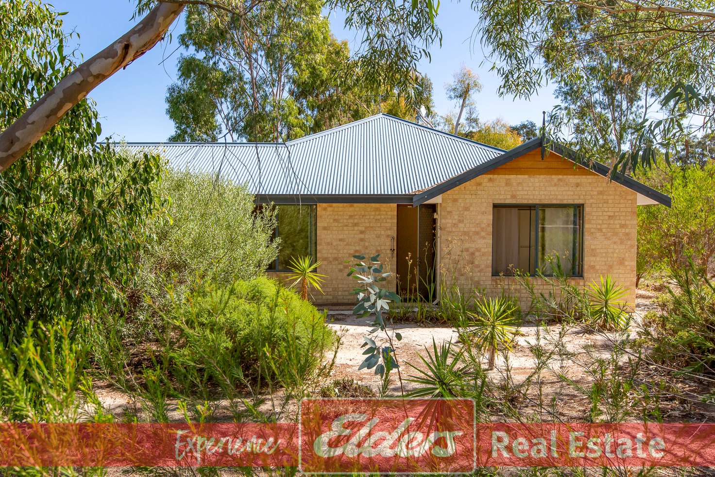 Main view of Homely house listing, 10 Salmon Gum Retreat, Donnybrook WA 6239