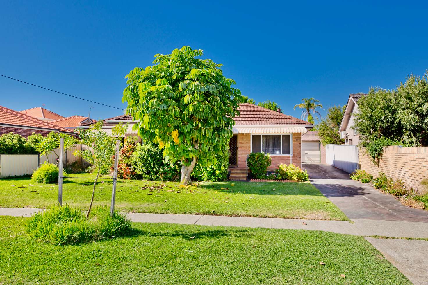 Main view of Homely house listing, 16 Bayley Street, Dianella WA 6059