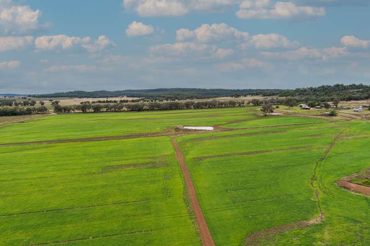 Main view of Homely cropping listing, 130 Beni Road, Merrygoen NSW 2831