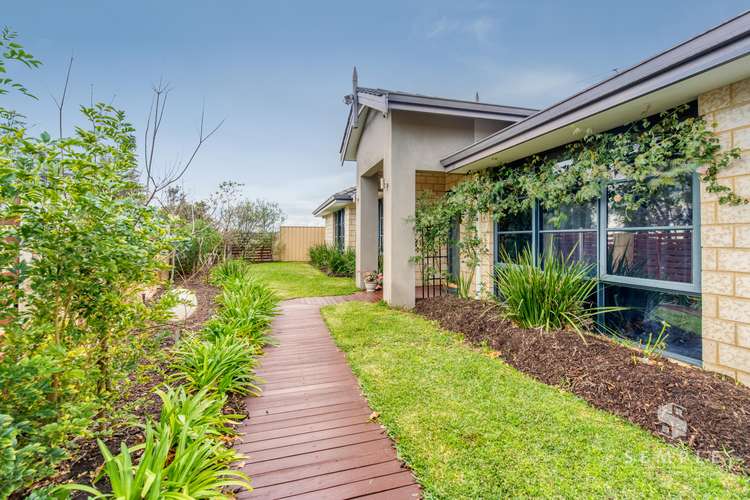 Main view of Homely house listing, 16 Friarbird Terrace, Beeliar WA 6164