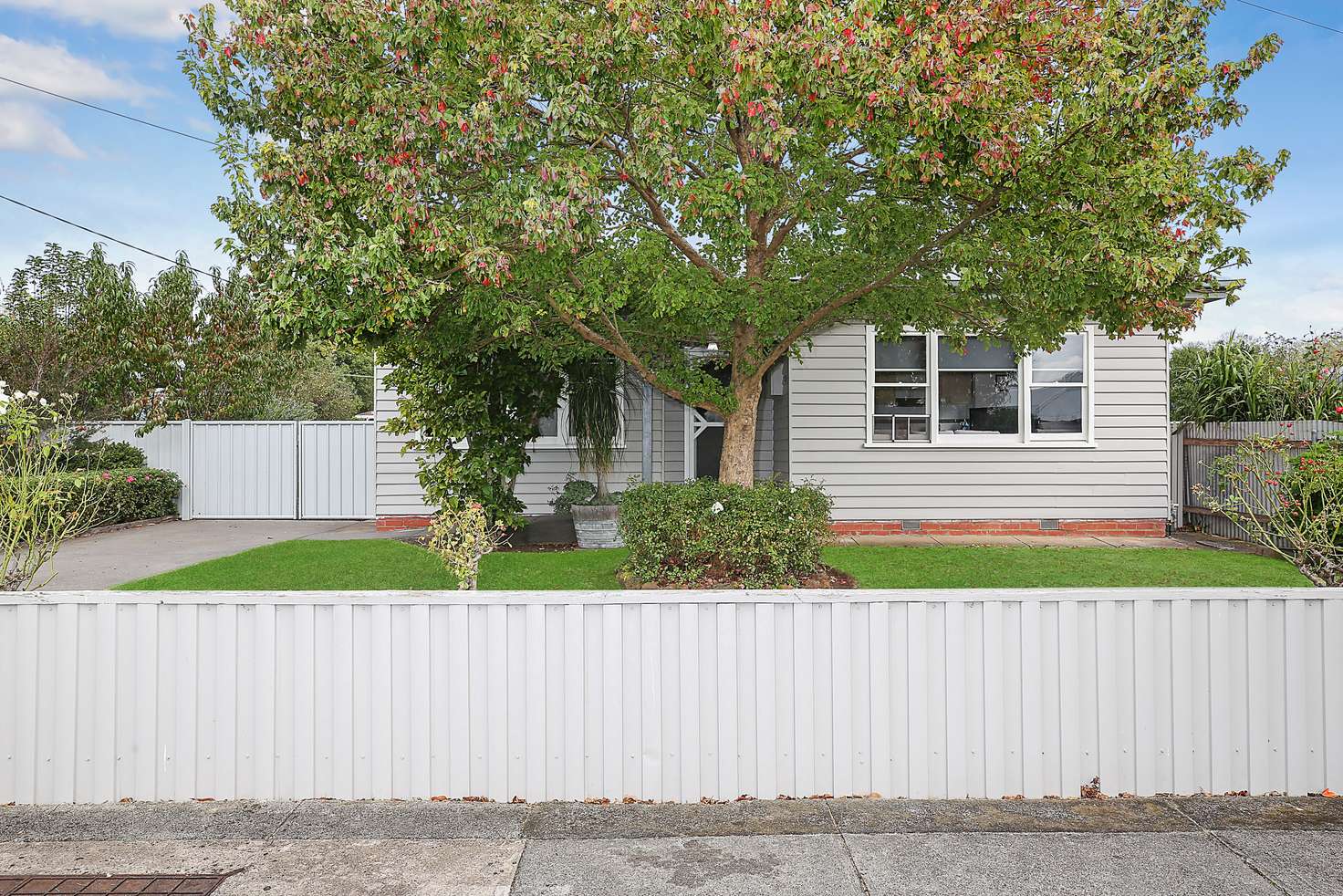 Main view of Homely house listing, 21 Fergusson Street, Camperdown VIC 3260