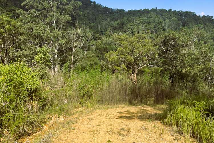 Sixth view of Homely mixedFarming listing, 4250 Nowendoc Road, Number One NSW 2424