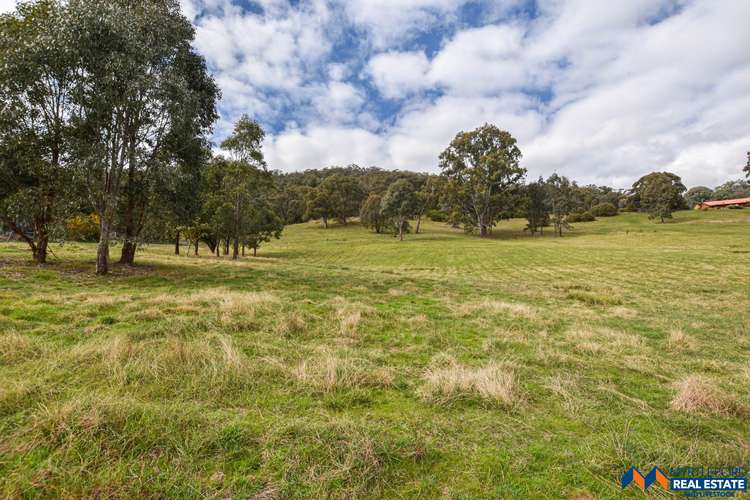 Fourth view of Homely residentialLand listing, Lot 14 Buffalo River Road, Myrtleford VIC 3737