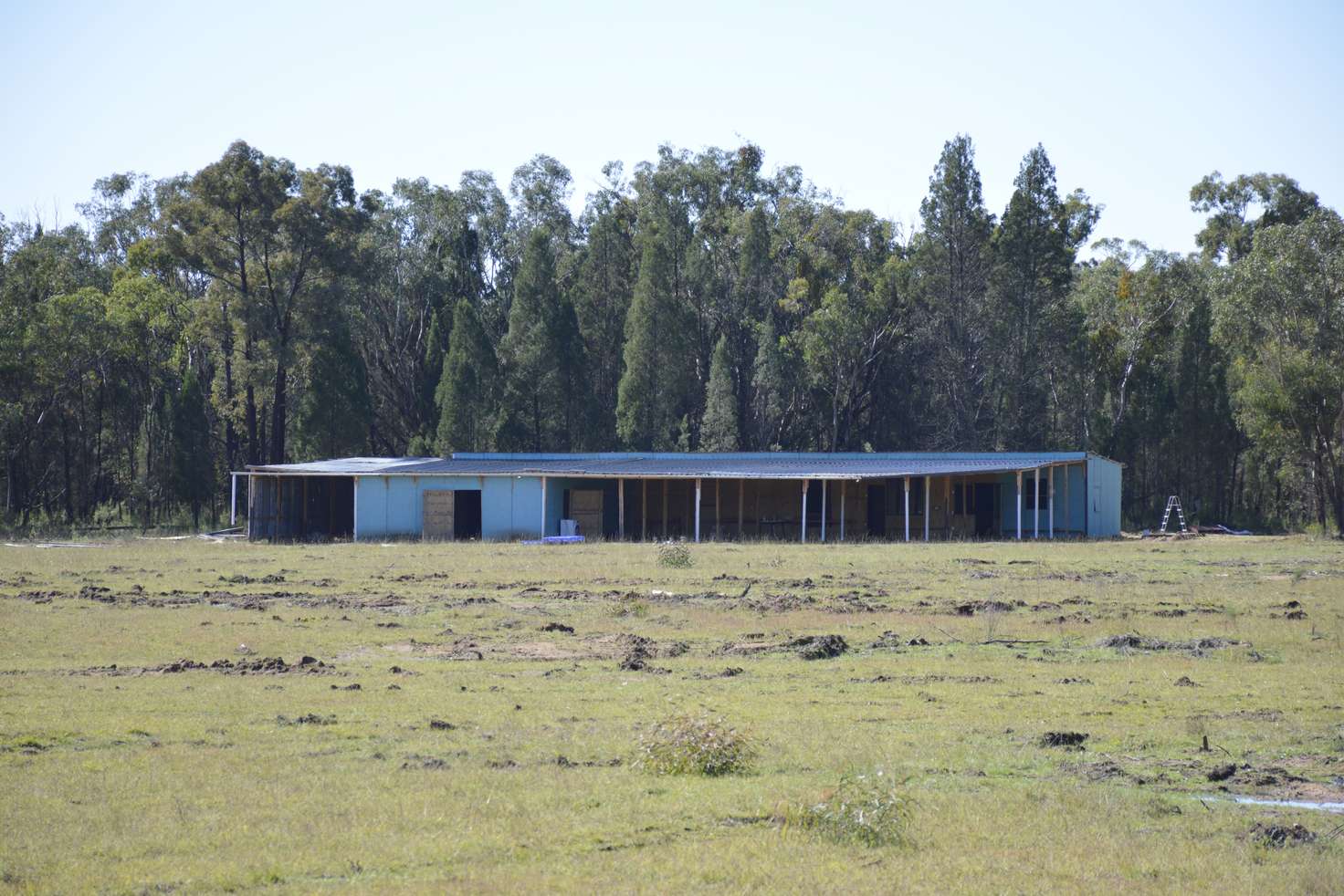 Main view of Homely lifestyle listing, 551 Box  Ridge  Road, Binnaway NSW 2395