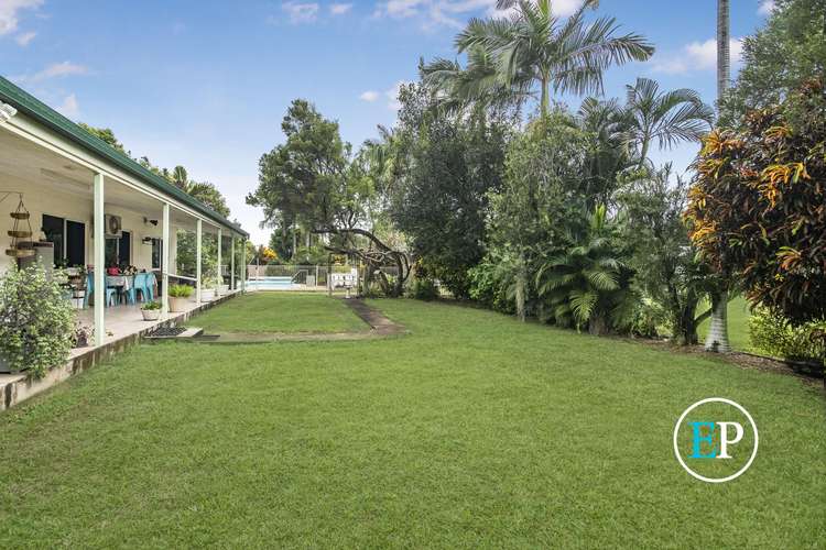 Fifth view of Homely house listing, 39 Williams Road, Alligator Creek QLD 4816