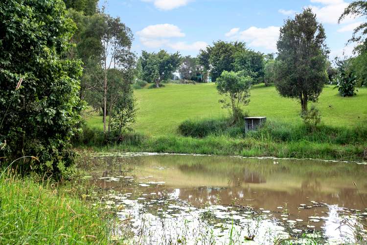 Sixth view of Homely house listing, 562 Kenilworth Skyring Creek Road, Carters Ridge QLD 4563