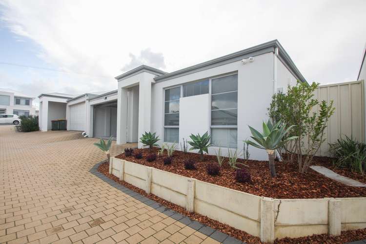 Main view of Homely house listing, 6/174 Flinders Street, Yokine WA 6060