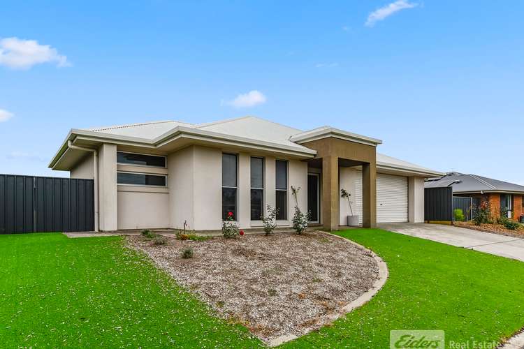 Main view of Homely house listing, 137 Mount Gambier Road, Millicent SA 5280