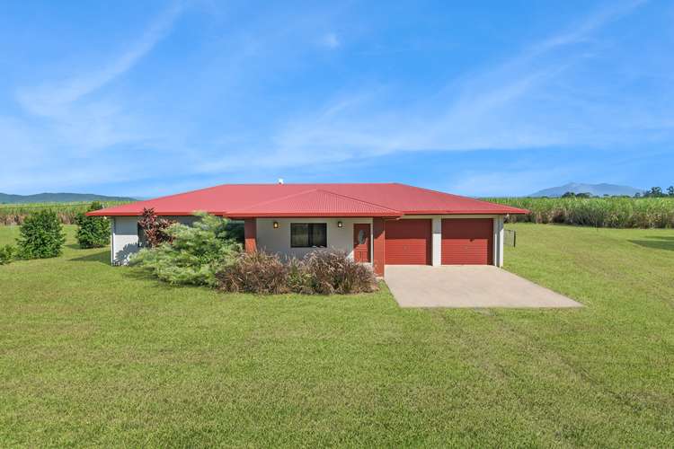 Main view of Homely house listing, 37 Flynn Road, Mourilyan QLD 4858