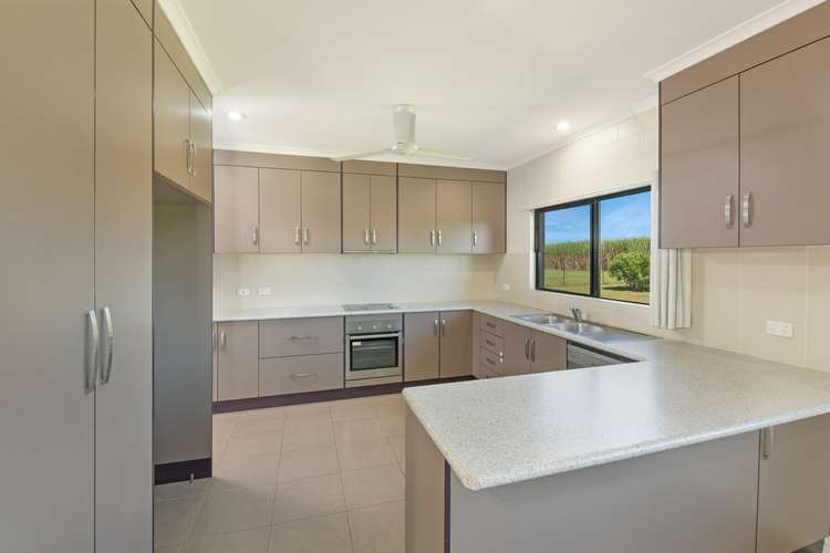 Second view of Homely house listing, 37 Flynn Road, Mourilyan QLD 4858
