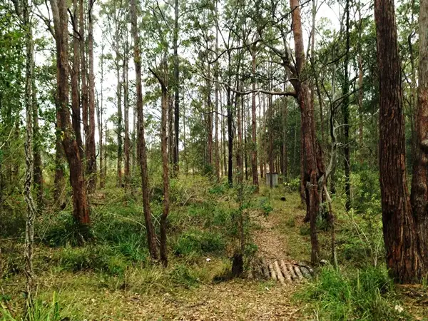 Third view of Homely rural property listing, Lot 5 Sec 8 Breckenridge St, The Branch NSW 2425