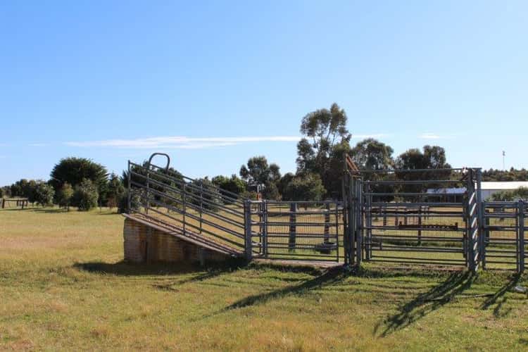 Second view of Homely mixedFarming listing, 1 Wattle Range Road, Millicent SA 5280