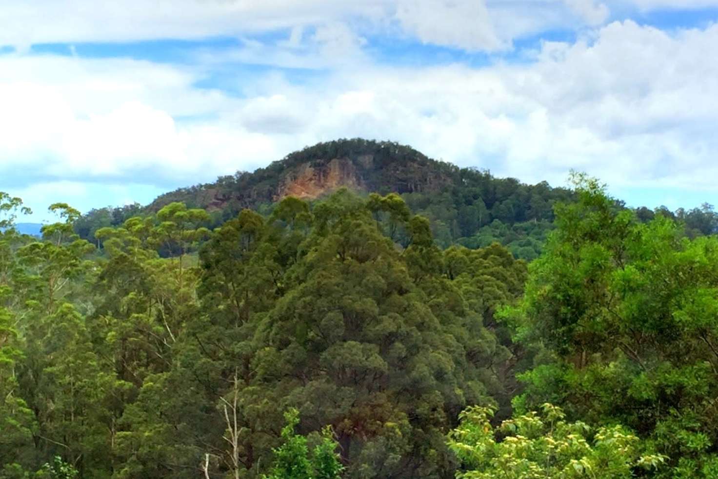 Main view of Homely residentialLand listing, 4/818 Blue Knob Road, Nimbin NSW 2480