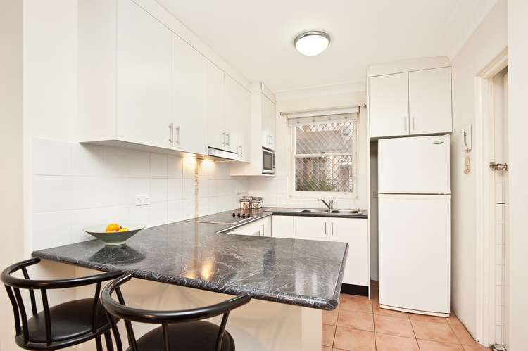 Main view of Homely unit listing, 1/10 Orpington Street, Ashfield NSW 2131