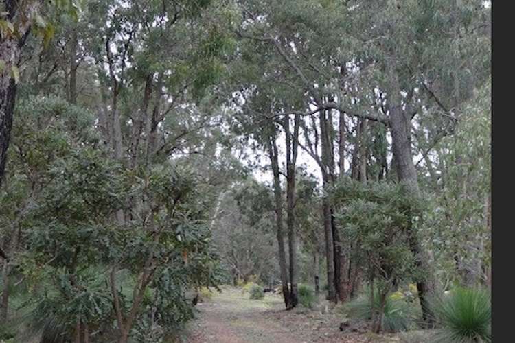 Third view of Homely residentialLand listing, LOT 999 Chadoora Road, Inglehope WA 6213