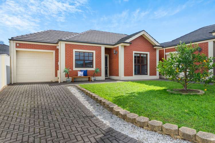 Main view of Homely house listing, 38B Mclauchlan Road, Windsor Gardens SA 5087