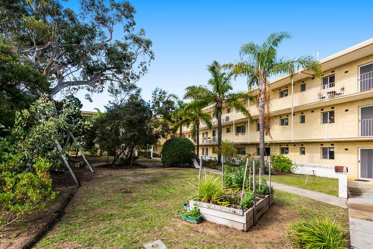 Third view of Homely unit listing, 16/94 Lefroy Road, Beaconsfield WA 6162