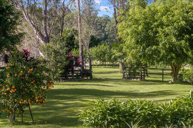 Fifth view of Homely lifestyle listing, 1282 Tyalgum Road, Tyalgum NSW 2484