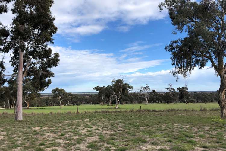 Main view of Homely mixedFarming listing, 6465 Riddoch Highway, Padthaway SA 5271