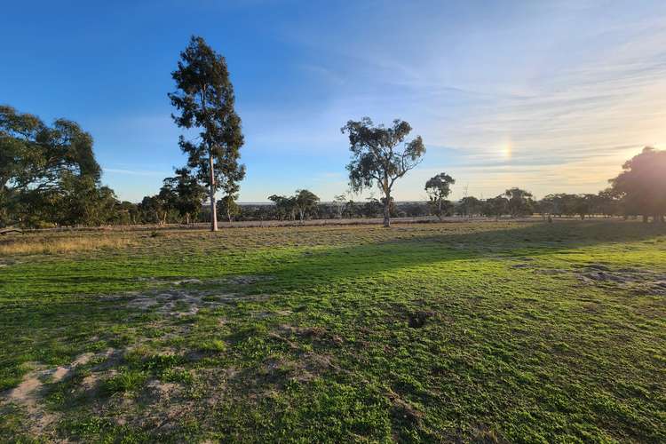 Sixth view of Homely mixedFarming listing, 6465 Riddoch Highway, Padthaway SA 5271