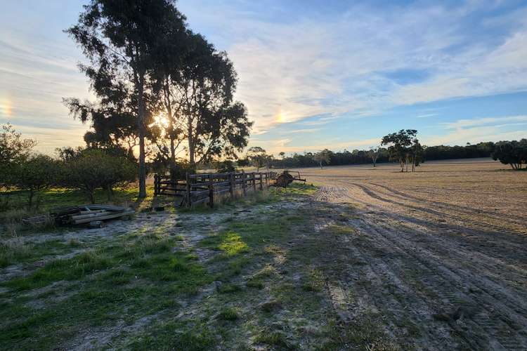 Seventh view of Homely mixedFarming listing, 6465 Riddoch Highway, Padthaway SA 5271