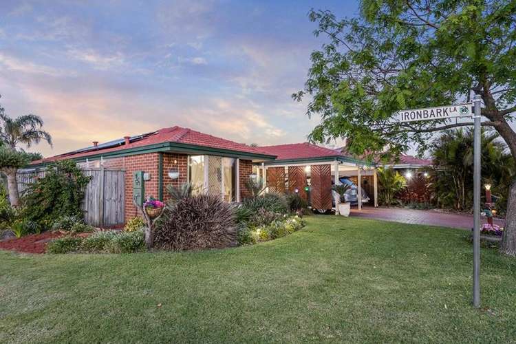 Second view of Homely house listing, 11 Fringe Lily Crescent, Ellenbrook WA 6069
