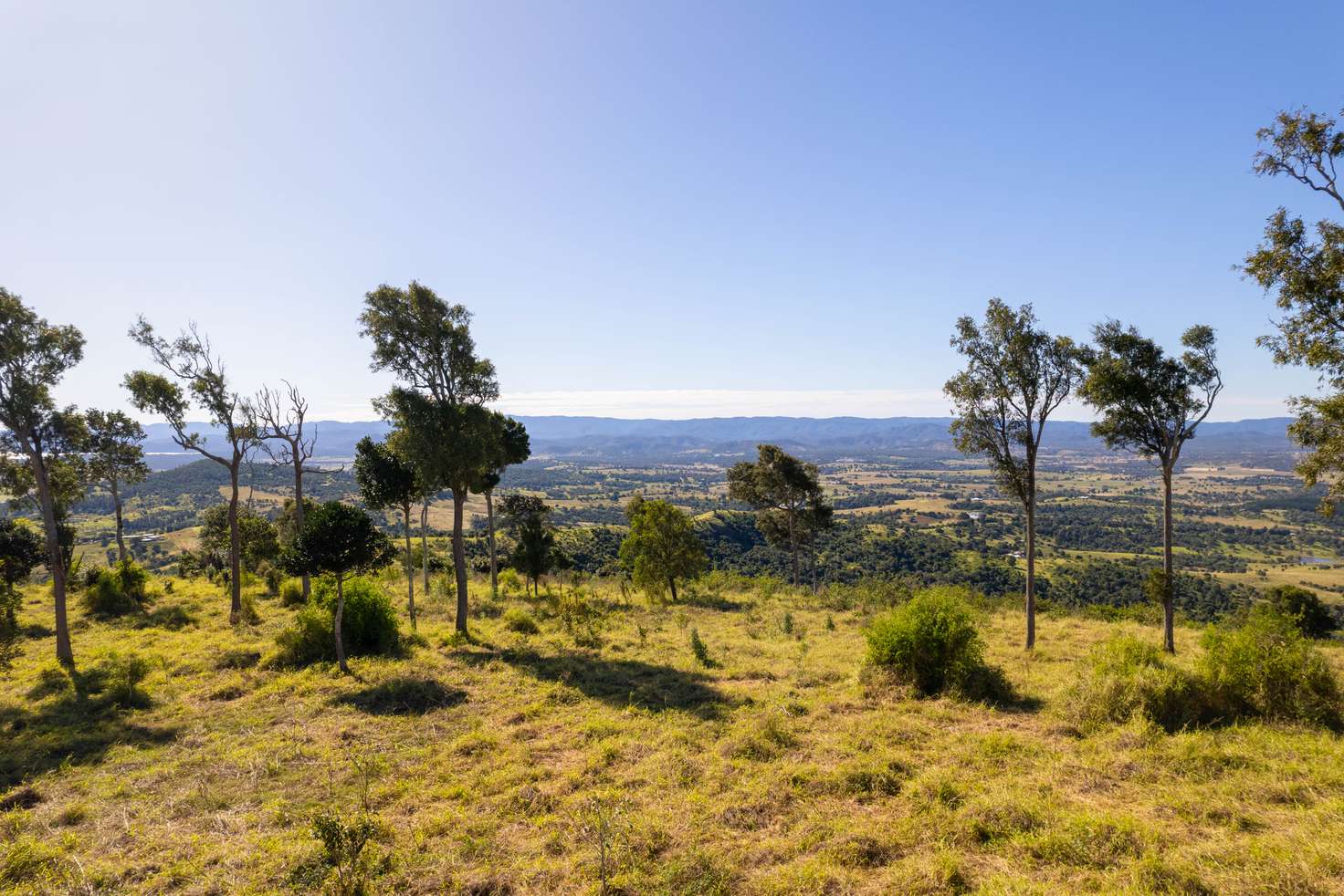 Main view of Homely lifestyle listing, 224 Freeses Road, Glamorgan Vale QLD 4306