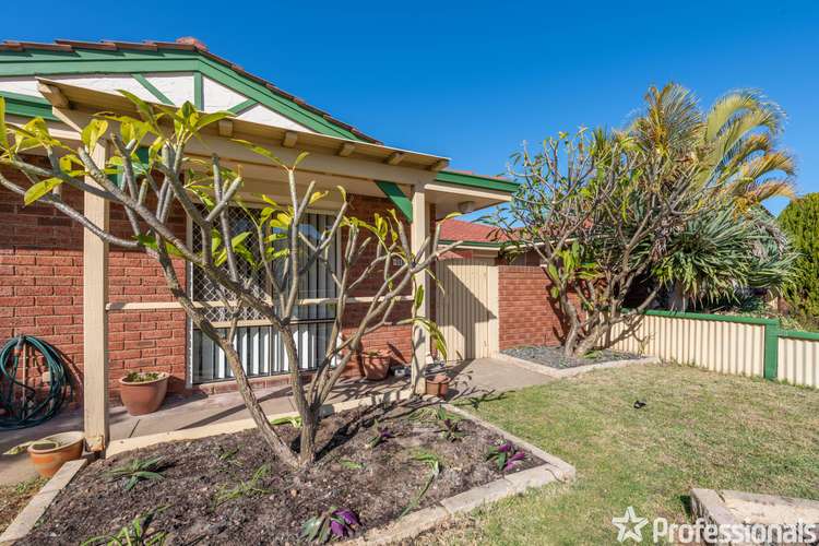 Fourth view of Homely semiDetached listing, 79A Grange Drive, Cooloongup WA 6168