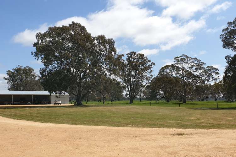 Second view of Homely mixedFarming listing, 678 Jones Road, Mundulla SA 5270