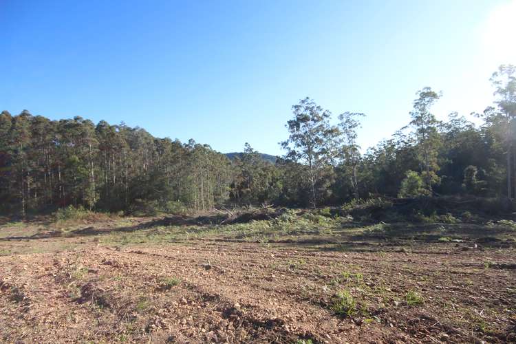 Third view of Homely cropping listing, Lot 6 Bluegum Lane, Ellenborough NSW 2446