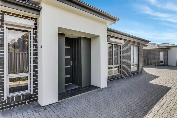 Main view of Homely house listing, 19B Angus Avenue, Edwardstown SA 5039
