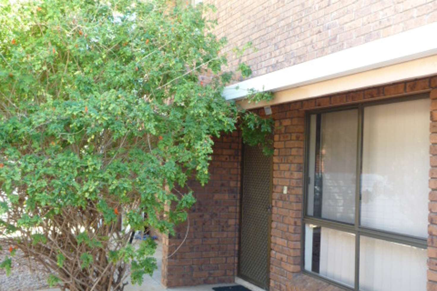 Main view of Homely townhouse listing, 3/4 Cycad Place, Sadadeen NT 870
