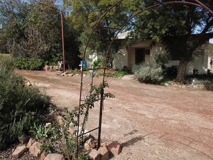 40 Neuman Road
