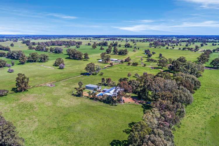 94 Reilly Road, Boyanup WA 6237