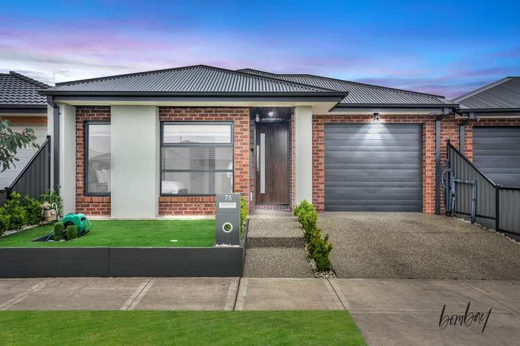 75 Gossia Avenue, Craigieburn VIC 3064