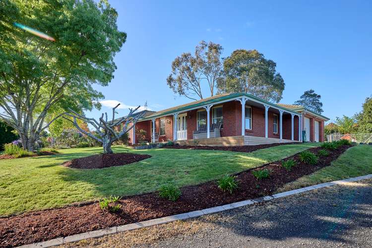 Main view of Homely house listing, 99 Panorama Road, Blackstone Heights TAS 7250