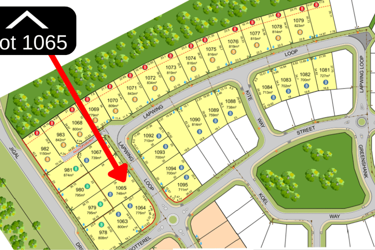 LOT 1065, 46 Lapwing Loop, Djugun WA 6725