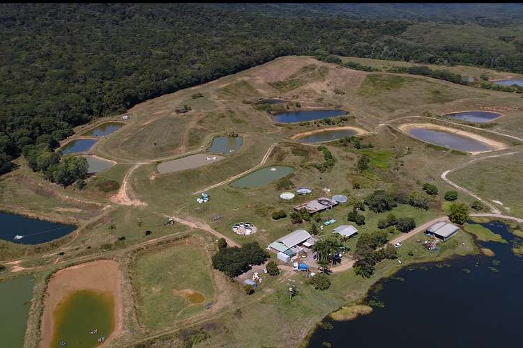 Main view of Homely ruralOther listing, 168 Stoney Creek Road, Speewah QLD 4881