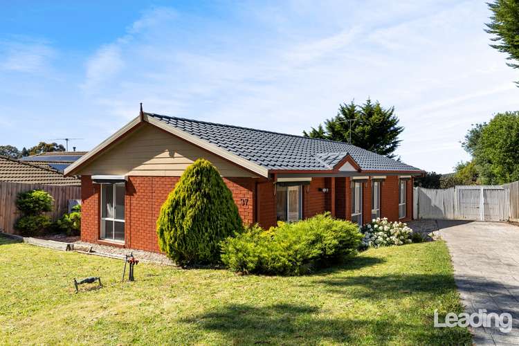 Main view of Homely house listing, 37 Lawrence Avenue, Sunbury VIC 3429